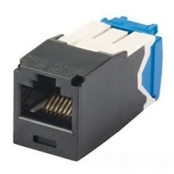 PANDUIT CPPA24FMWWH