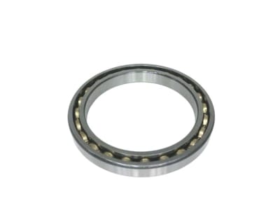 SKF 61813