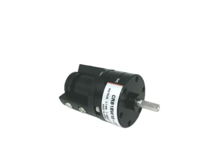 SMC CRB1BW10-270S