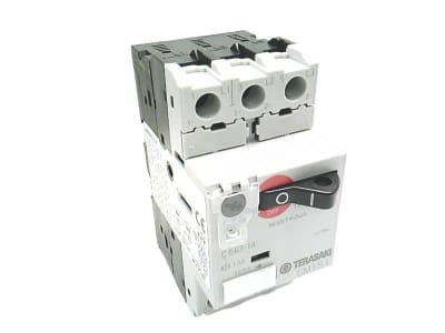 TERASAKI GM1S1