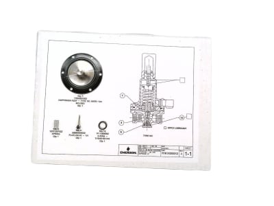 EMERSON R161X000012