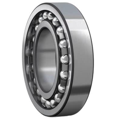 SKF 1209-EKTN9/C3