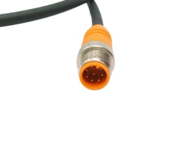 BELDEN Y92E-M12MSM12MSPURSH80.9M-L
