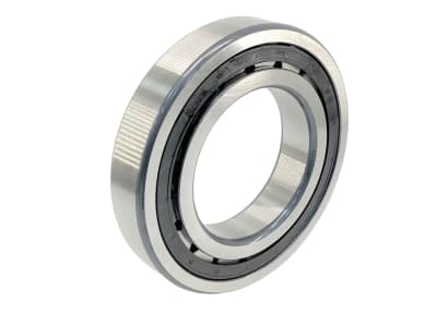 SCHAEFFLER GROUP NJ219-E-TVP2