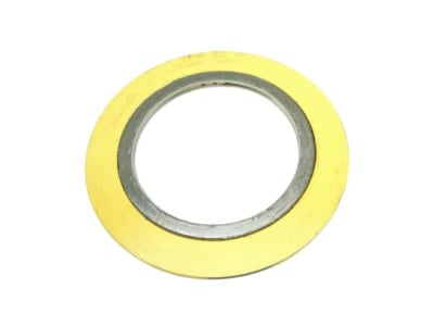 FLEXITALLIC B16.20 304/SEL FG 2 1/2"