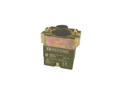RAAS CONTROLS RB2-BW06