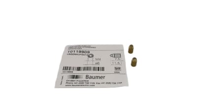 BAUMER ELECTRIC 10119909