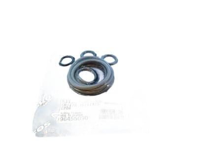 GRUNDFOS 96455090