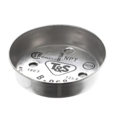 T&S BRASS B-0968-HA