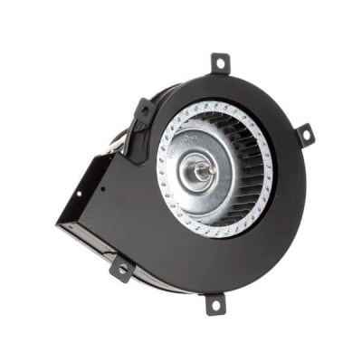 GILES 21801