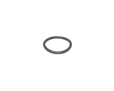 ORING 20X2FPM-80