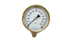 NOSHOK 25.300.SST.600