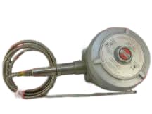 THERMON E7-20250