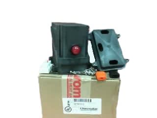CHROMALOX RTST-SL1