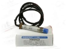 ASHCROFT ASH-K1-G-100-D-7-MO2-42-F2