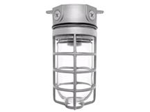 RAB LIGHTING VX100DG-3/4