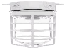 RAB LIGHTING VX100DGW