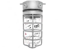 RAB LIGHTING VX100DG/FS23