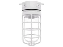 RAB LIGHTING VX100DGW-3/4