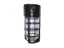 RAB LIGHTING VX100DGBF13