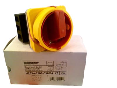 SALZER H263-41300-036M.