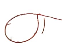 ENCORE WIRE 106100603440