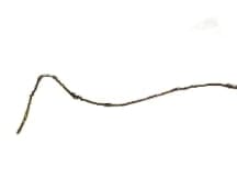 ENCORE WIRE 106100604440