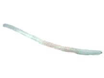 PANDUIT T50F-C-FT