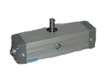 FESTO DRQ-100-180-PPVJ-A