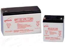 ENERSYS NP24-12T