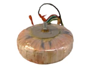 WAGNER ELECTRIC CORP V-20020-06-001