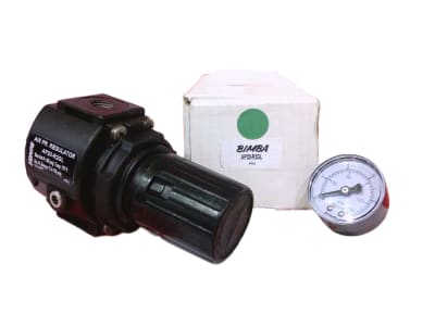 BIMBA AP20-R2GL