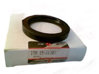 ITM 15-21303