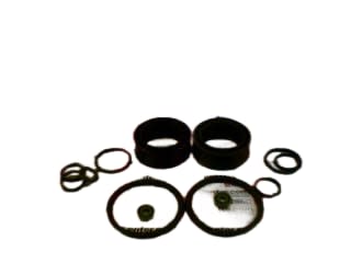 BOSCH RR00314099