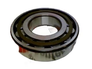 SKF N 316 ECP