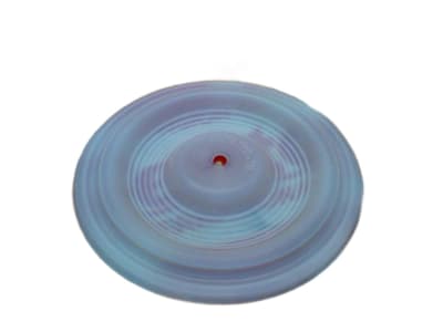 WILDEN PP01-1010-55