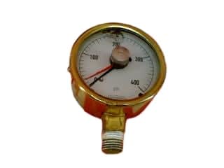 NOSHOK 25-300-400-PSI-1/4