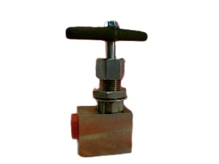 DRAGON VALVES INC P10M758T