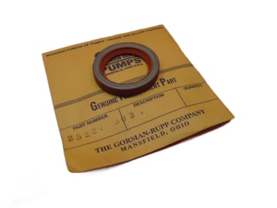 GORMAN RUPP 25227-303