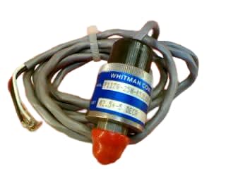 WHITMAN CONTROLS P117G-25N-K52L60-X