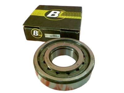 BEARINGS LIMITED NUP309EC3