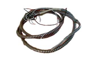 THERMALOGIC 8972-A