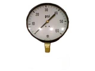 AMETEK P-500-1/4-ANPT-LM