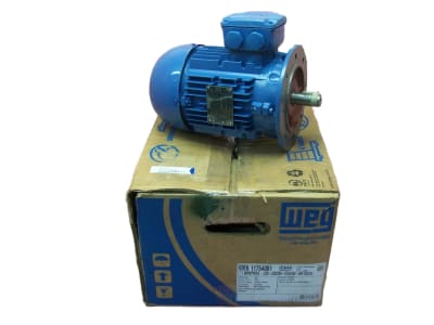 WEG 11754001