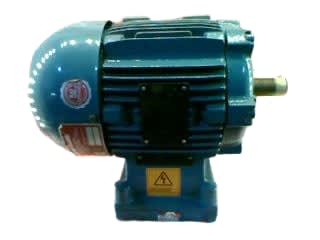 WEG FD50905