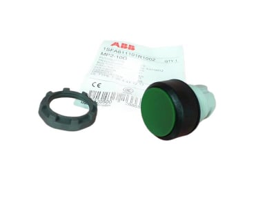 ASEA BROWN BOVERI ASFA611101R1002
