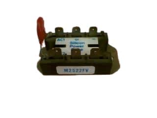 SILICON POWER M2522FV