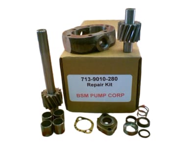 BSM PUMP 713-9010-280