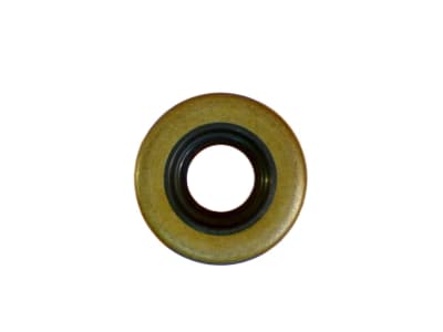 BSM PUMP 466-279
