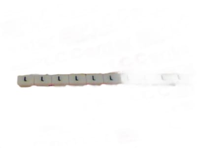 ALTECH CORP SB-6/10-GW/L